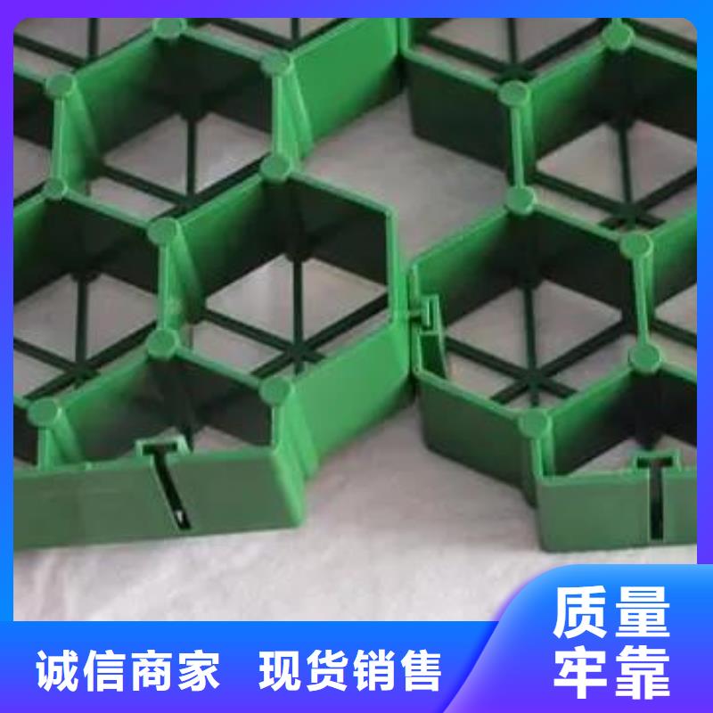 植草格水泥化粪池厂家直销供货稳定