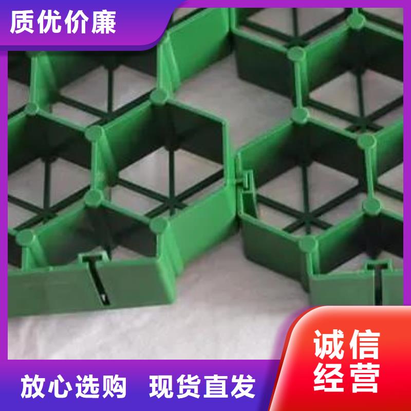 【植草格植草格质检合格出厂】