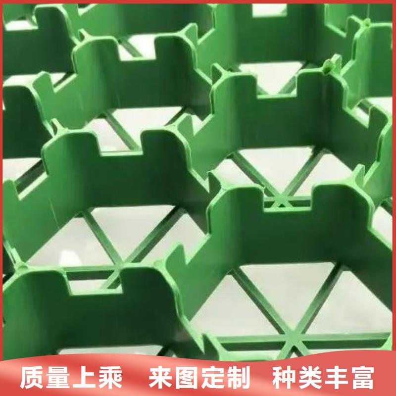 塑料植草格2025报价