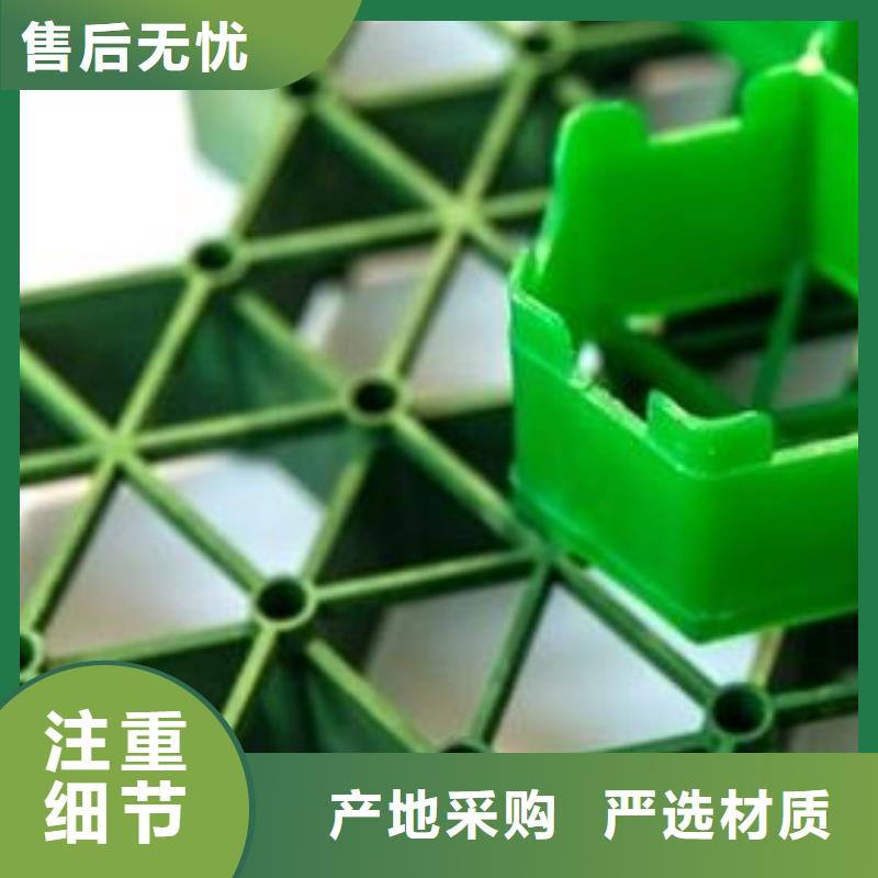 【植草格】防护虹吸排水收集系统您身边的厂家