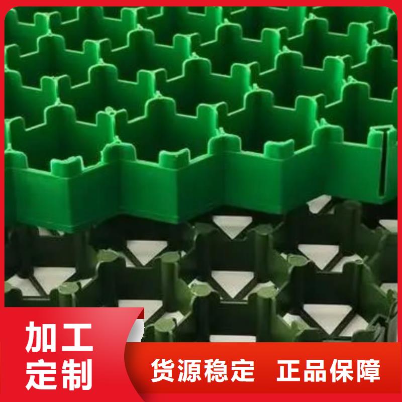 植草格生产厂家*价格