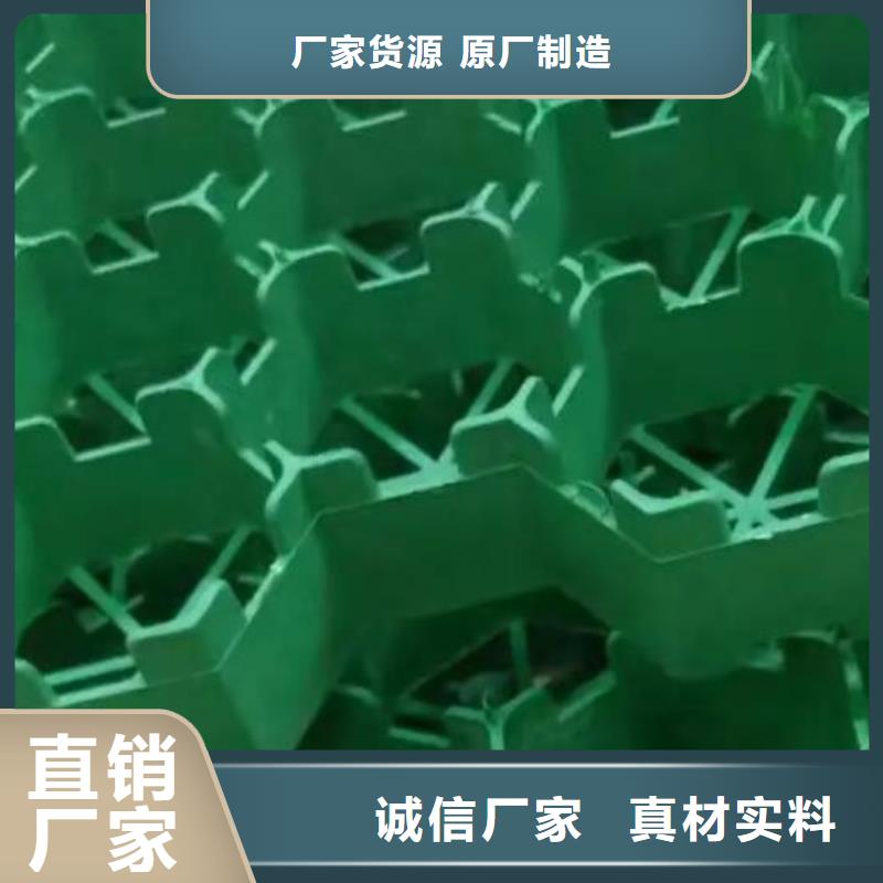 植草格视频-庆元|缙云|宁波|舟山|台州|温州|金华 植草格质量为本-朋联工程材料(丽水市分公司)
