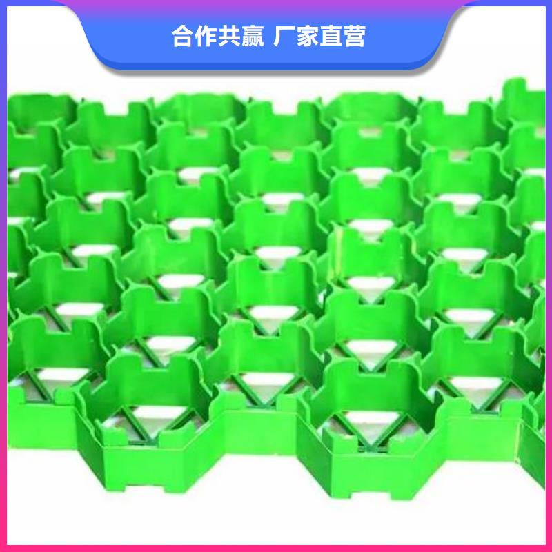 塑料植草格行情价—已更新2025