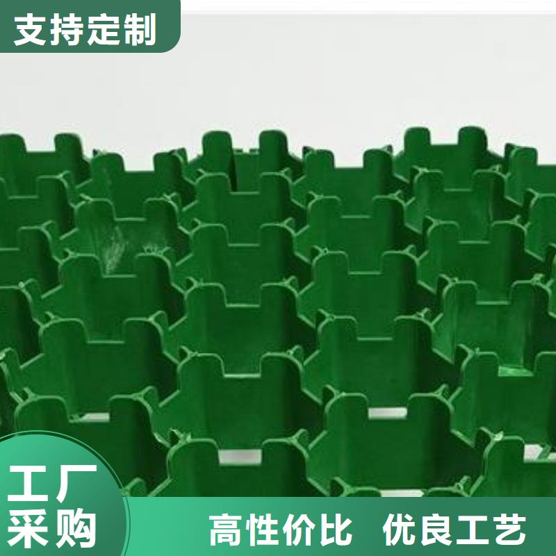 植草格排水板实力商家