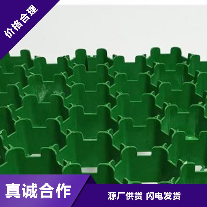 植草格植草格保障产品质量
