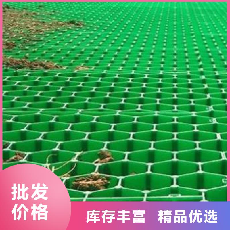 植草格打造行业品质