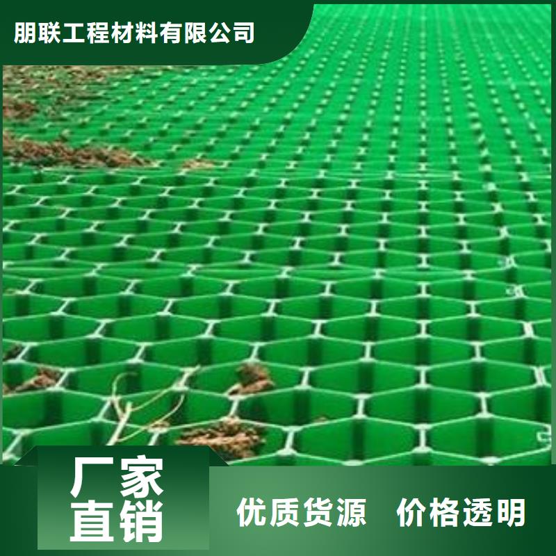 植草格,排水板实力大厂家