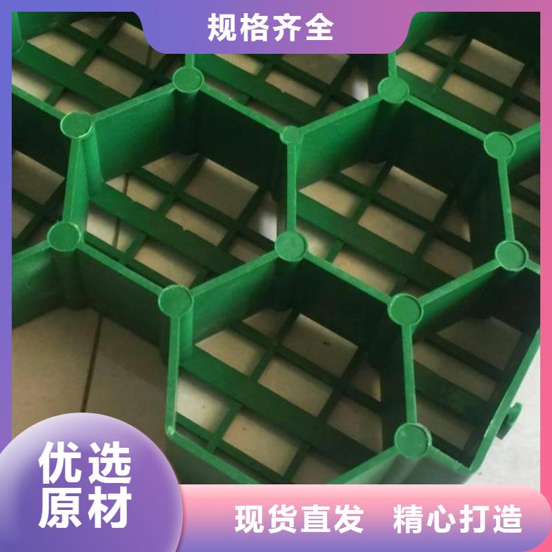 植草格视频- 植草格|阳江市|阳东|阳西|肇庆|深圳|佛山|梅州|珠海