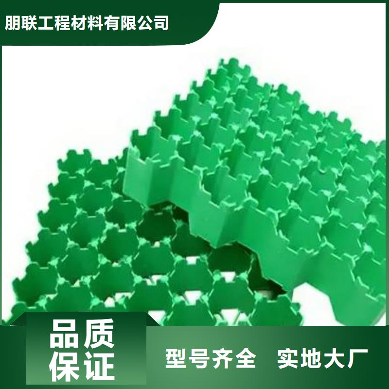 塑料植草格行情价—已更新2025