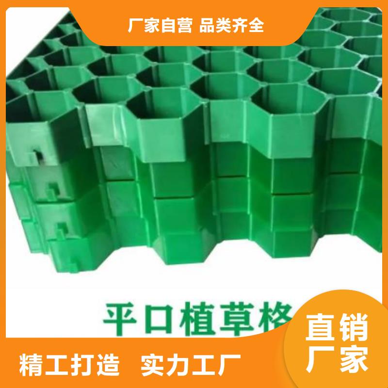 植草格生产厂家*价格