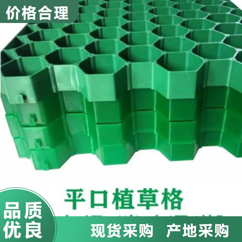 植草格视频- 植草格|阳江市|阳东|阳西|肇庆|深圳|佛山|梅州|珠海