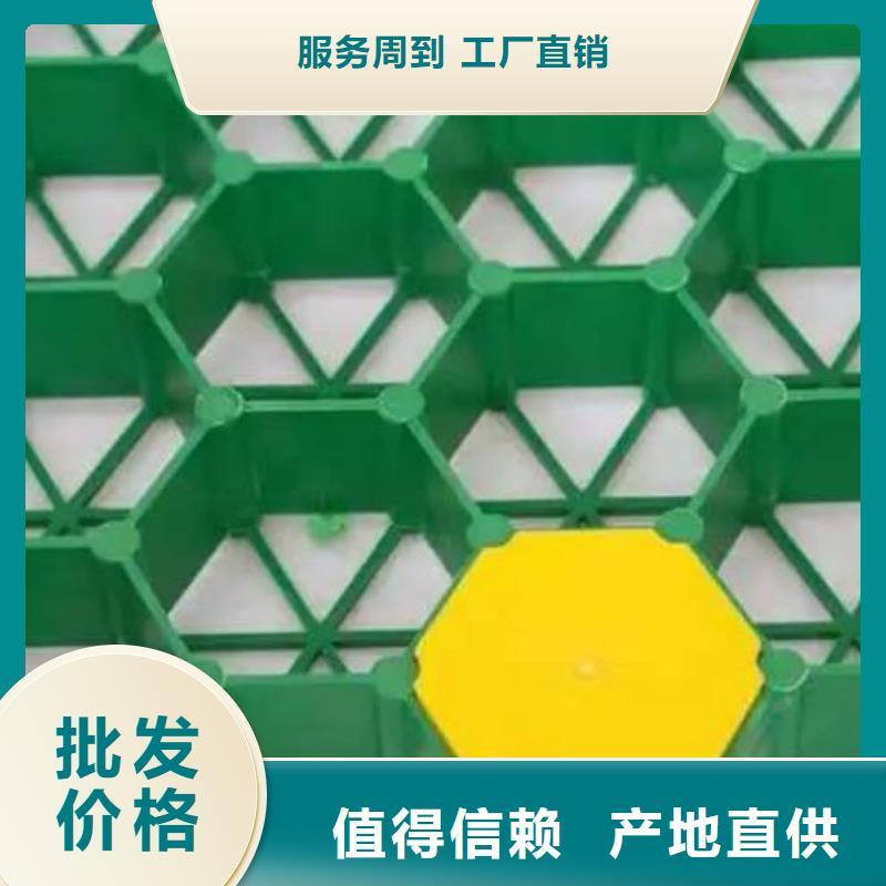 塑料植草格行情价—已更新2025