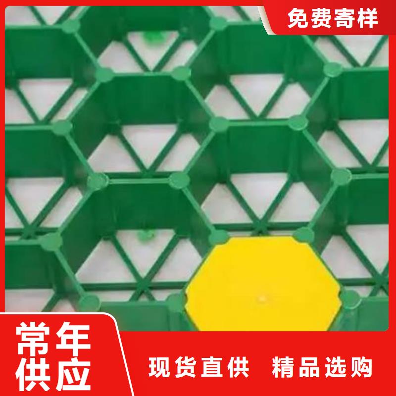 植草格打造行业品质