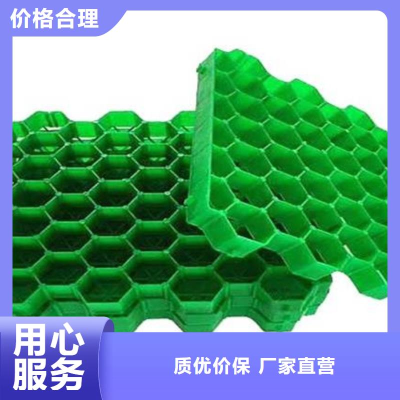 植草格视频- 植草格|阳江市|阳东|阳西|肇庆|深圳|佛山|梅州|珠海