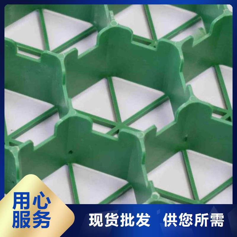 【植草格】防护虹吸排水收集系统您身边的厂家