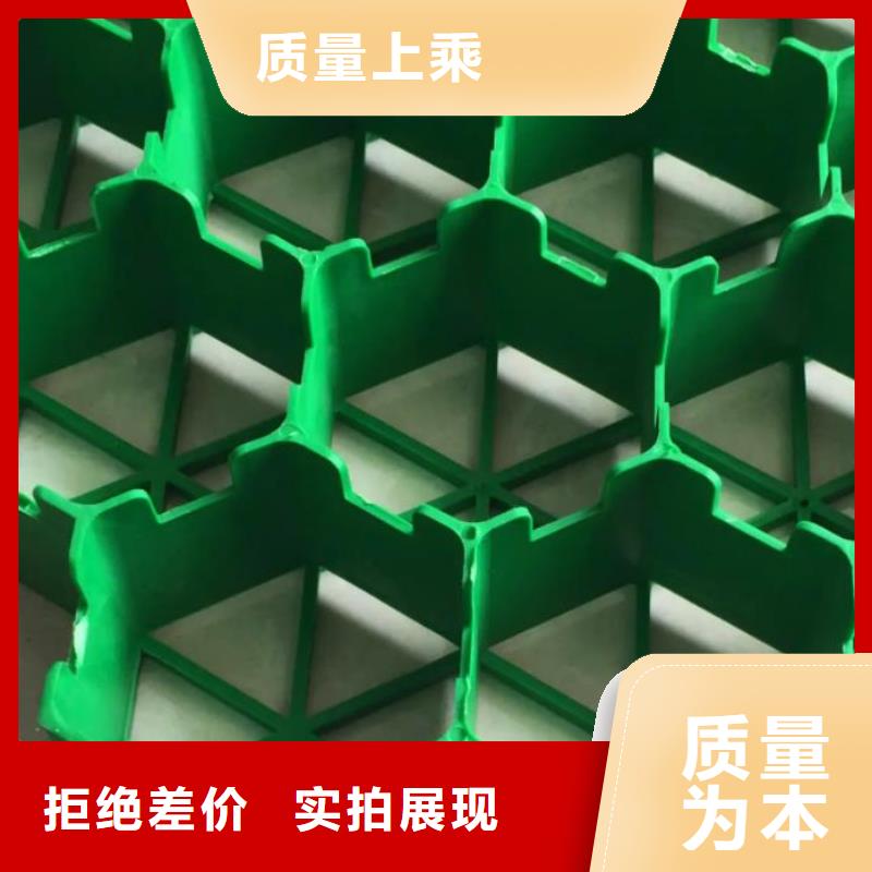 植草格视频-庆元|缙云|宁波|舟山|台州|温州|金华 植草格质量为本-朋联工程材料(丽水市分公司)
