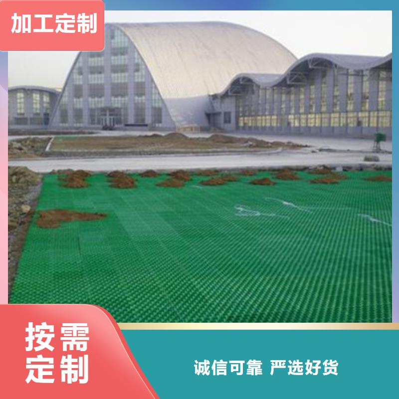 植草格视频-庆元|缙云|宁波|舟山|台州|温州|金华 植草格质量为本-朋联工程材料(丽水市分公司)