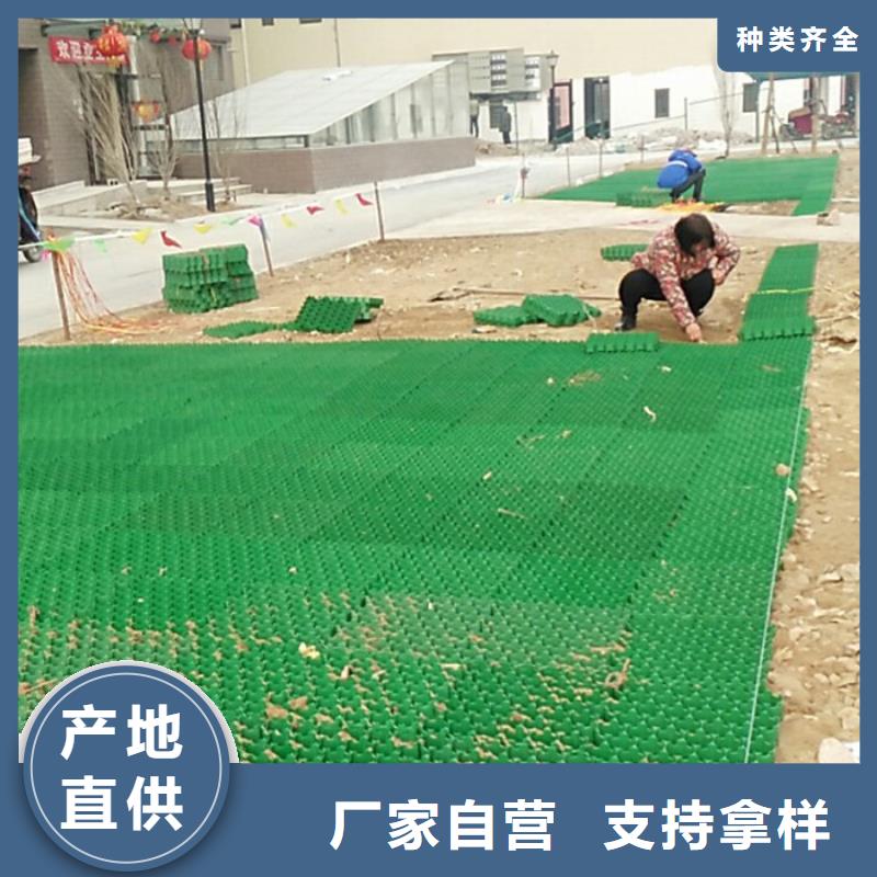 植草格生产厂家*价格