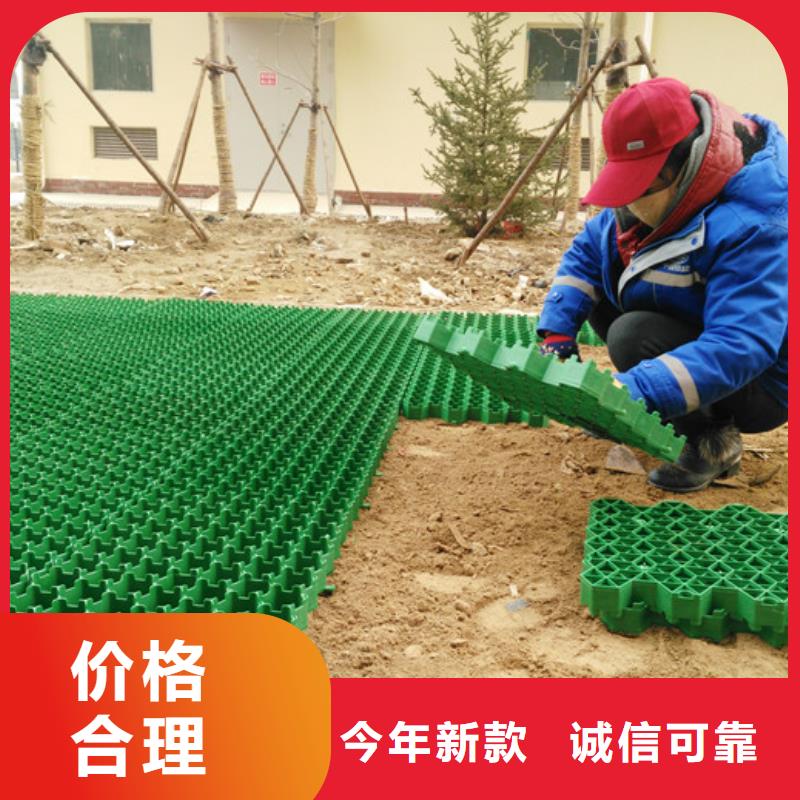塑料植草格2025报价