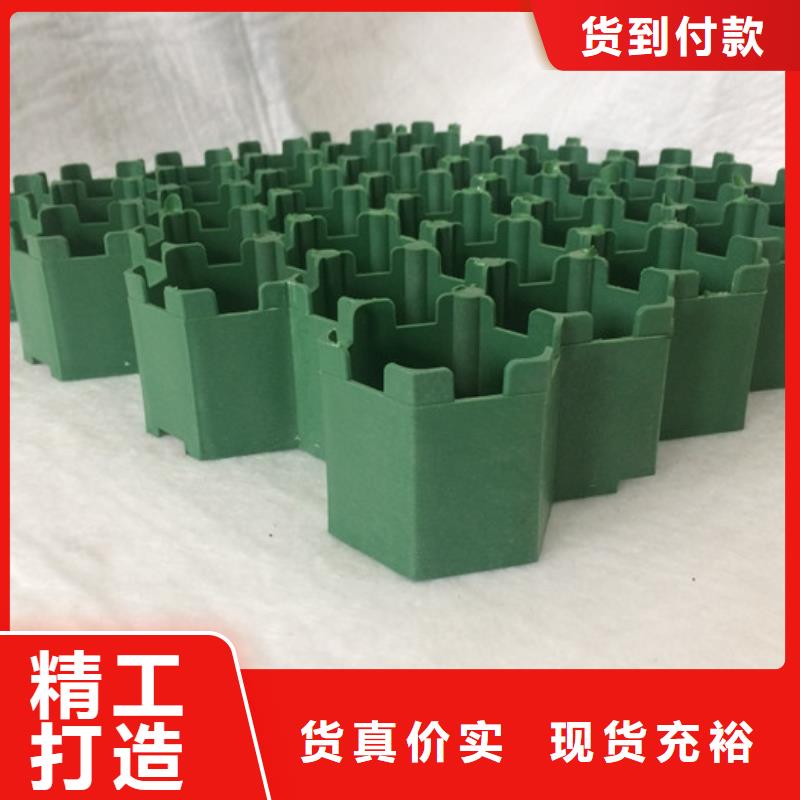 植草格视频- 植草格|阳江市|阳东|阳西|肇庆|深圳|佛山|梅州|珠海
