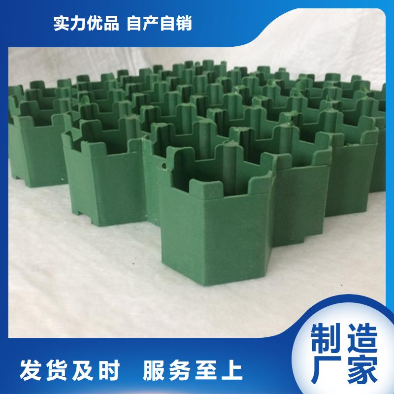 塑料植草格2025报价