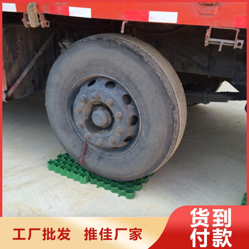 塑料植草格厂家——欢迎咨询