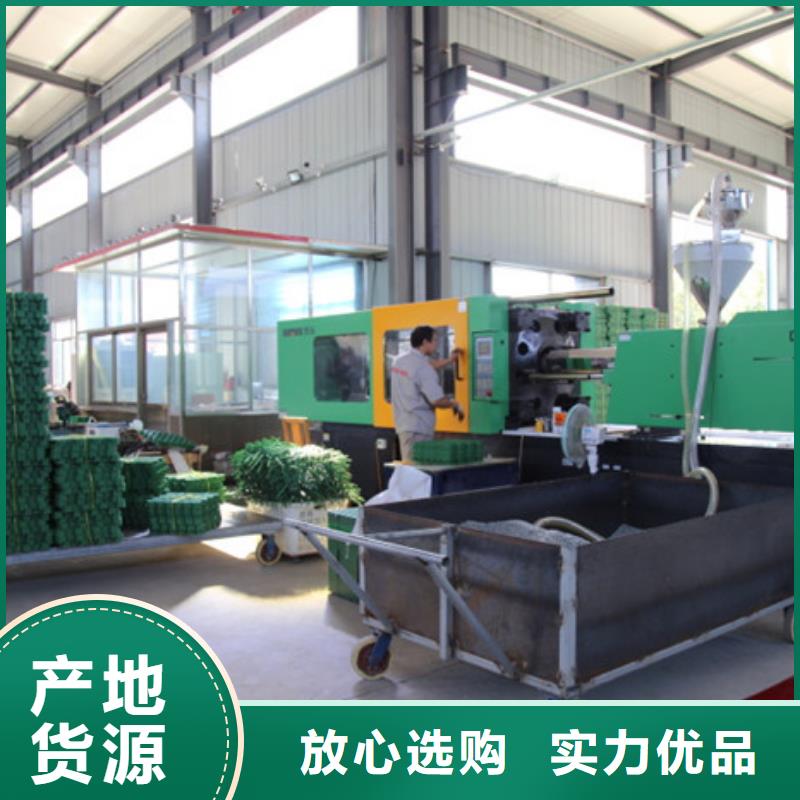 植草格车库虹吸排水系统实体诚信经营
