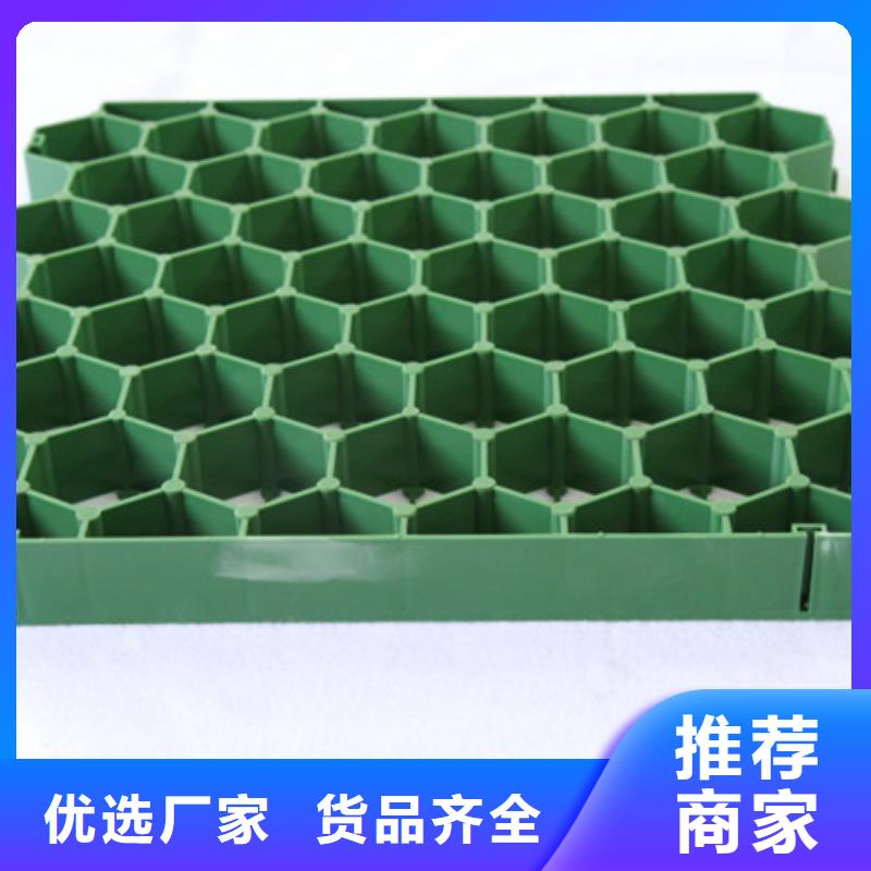 植草格打造行业品质