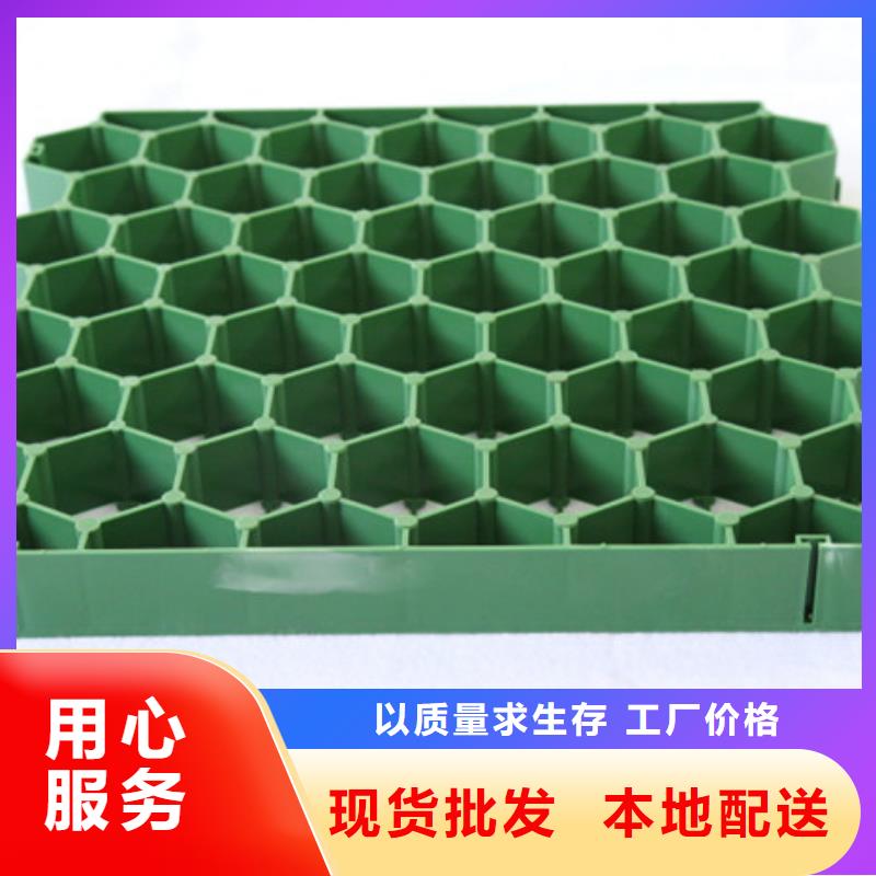 植草格视频-庆元|缙云|宁波|舟山|台州|温州|金华 植草格质量为本-朋联工程材料(丽水市分公司)