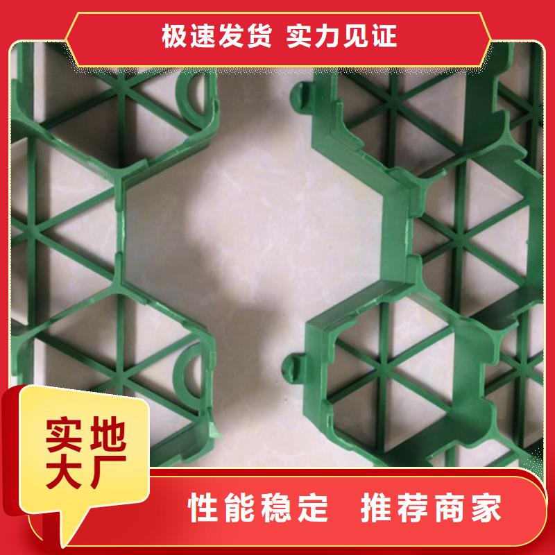植草格水泥化粪池厂家直销供货稳定