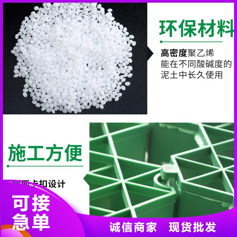 植草格工厂直营店