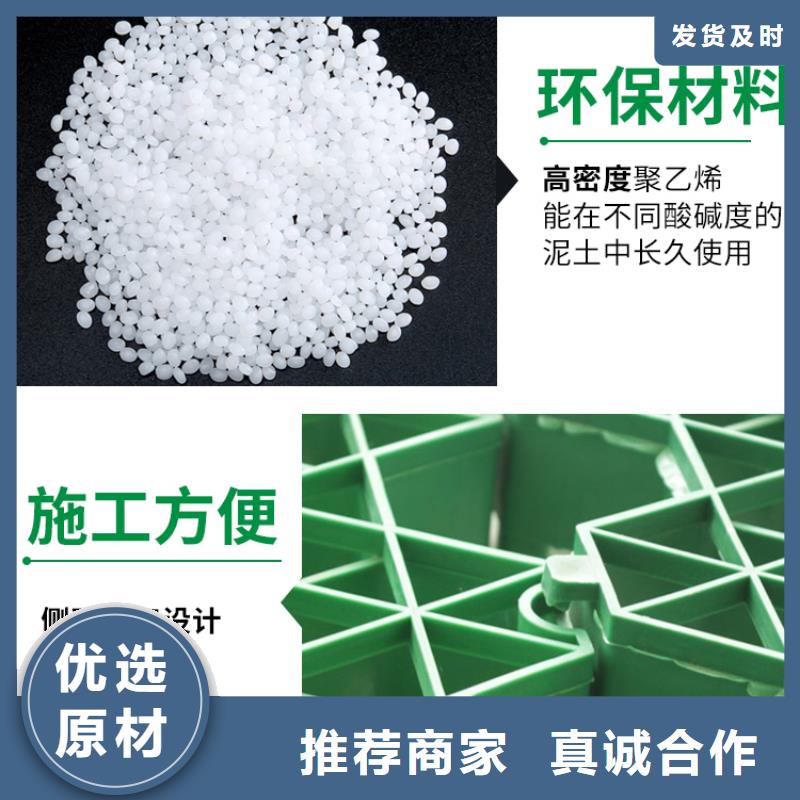 植草格视频- 植草格|阳江市|阳东|阳西|肇庆|深圳|佛山|梅州|珠海