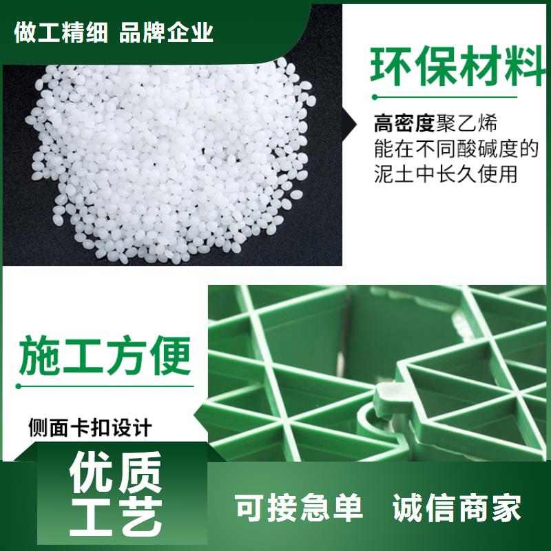 【植草格】防护虹吸排水收集系统您身边的厂家