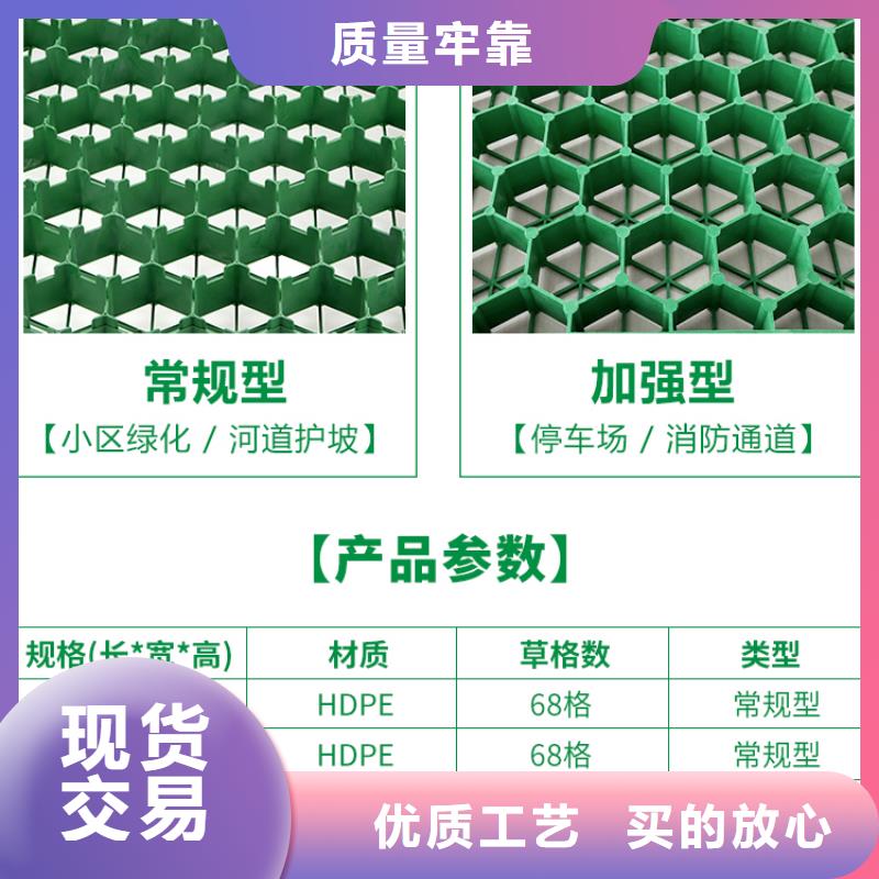 植草格水泥化粪池厂家直销供货稳定