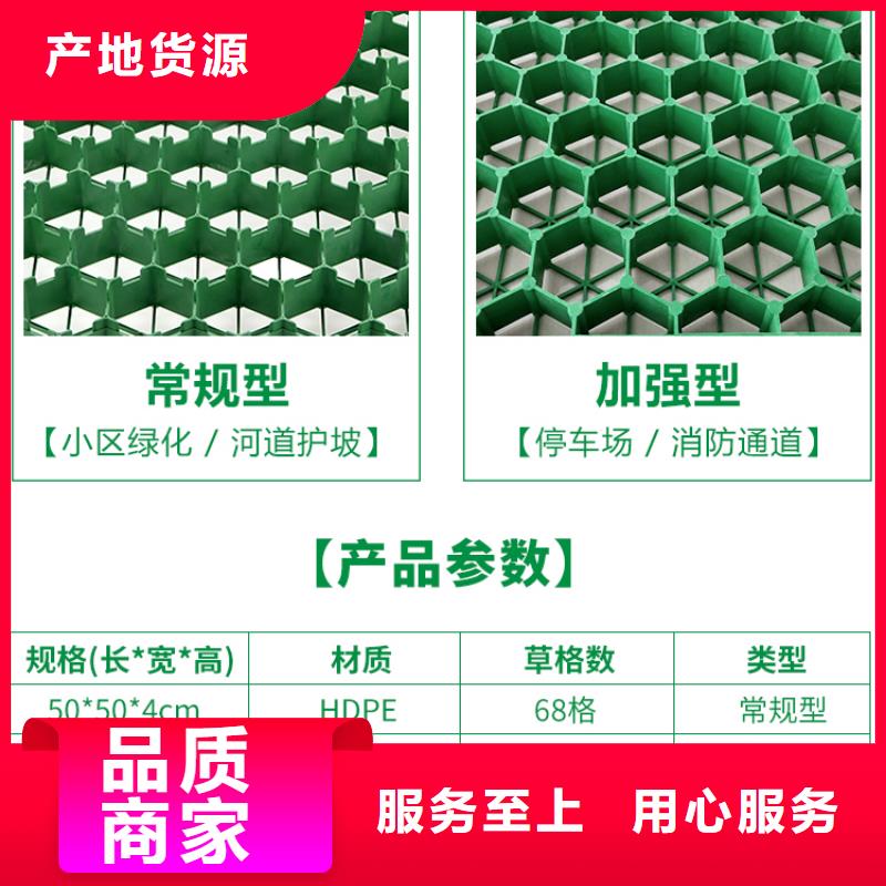 【植草格植草格质检合格出厂】