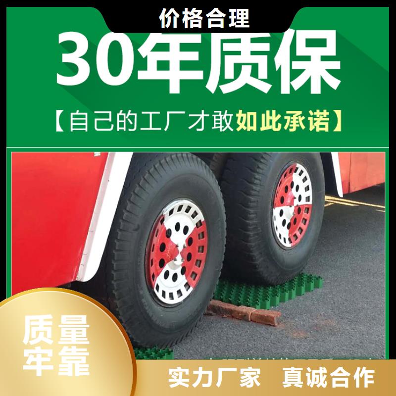 塑料植草格2025报价