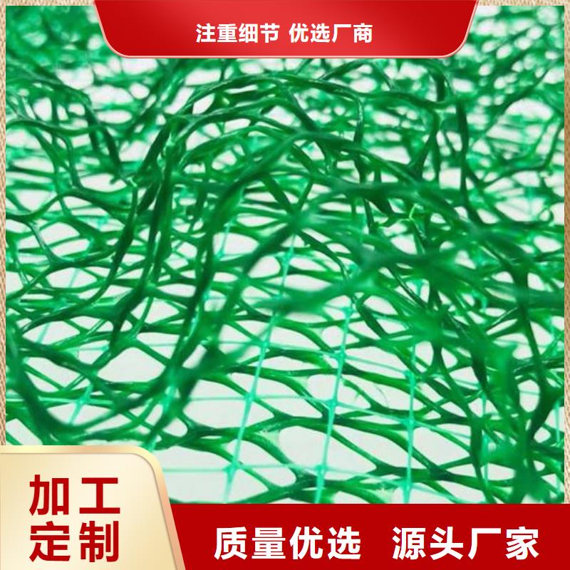 三维植被网植草格用心做好每一件产品