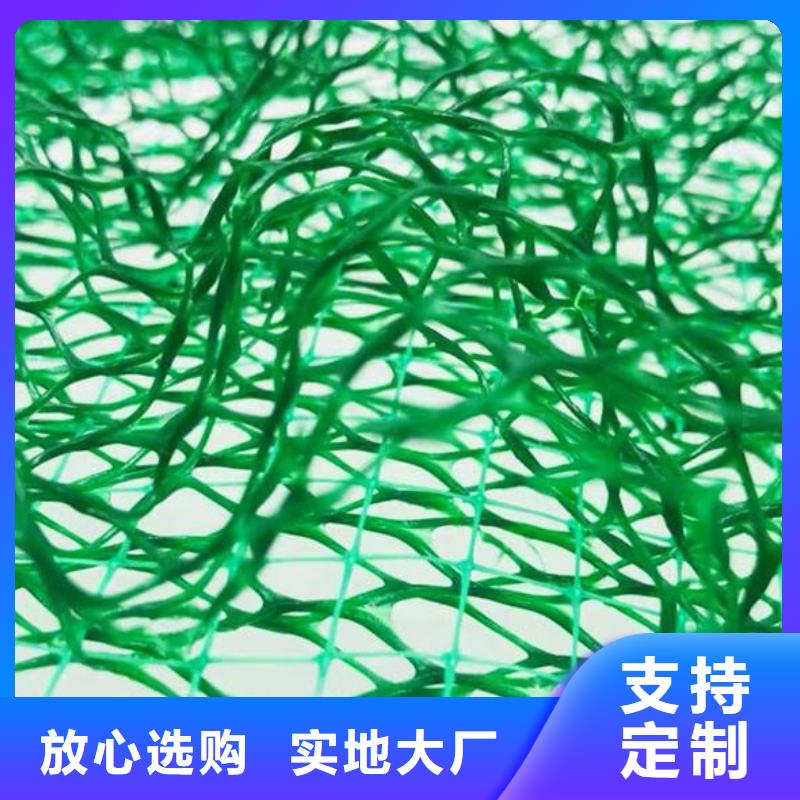 三维植被网,车库虹吸排水系统性价比高