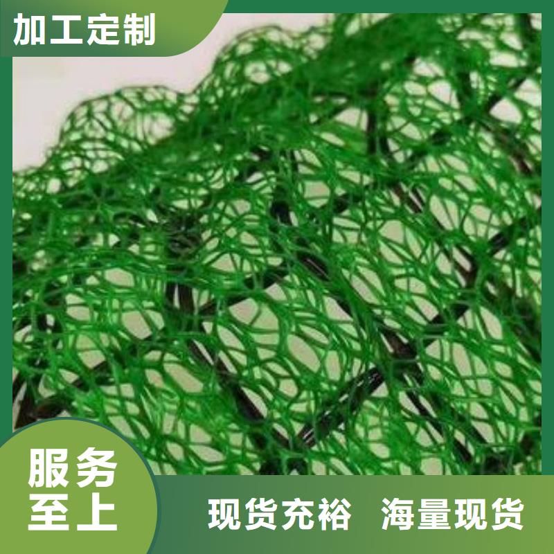 三维植被网-水泥化粪池商家