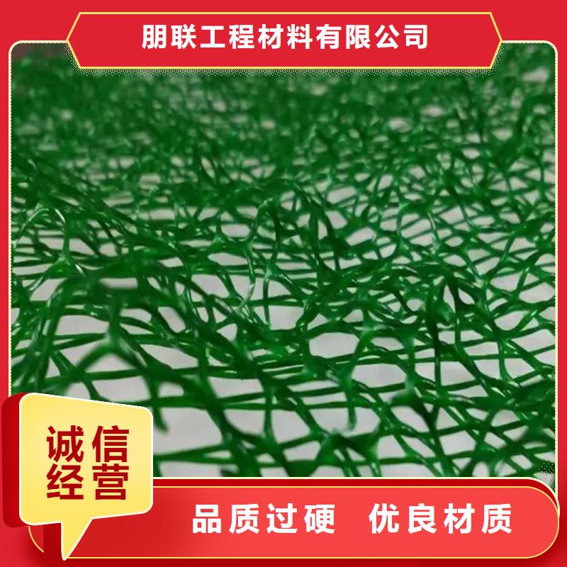 三维植被网植草格匠心制造
