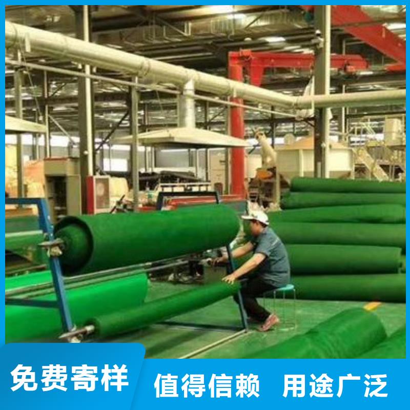 三维植被网_防护虹吸排水收集系统可定制