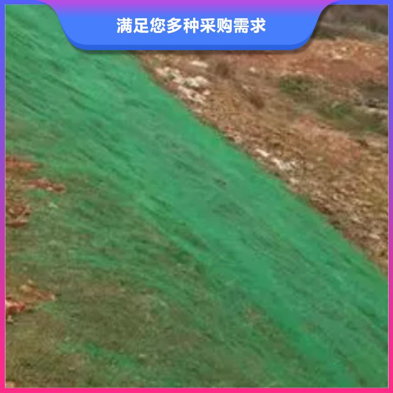 三维植被网水泥化粪池今日新品