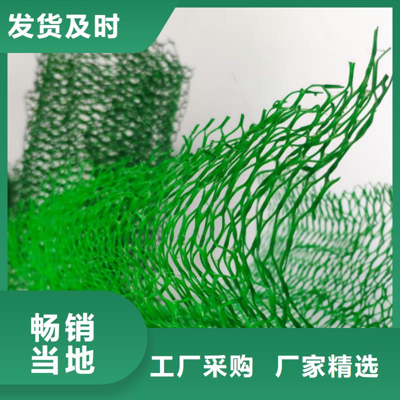 三维植被网,车库虹吸排水系统专业厂家