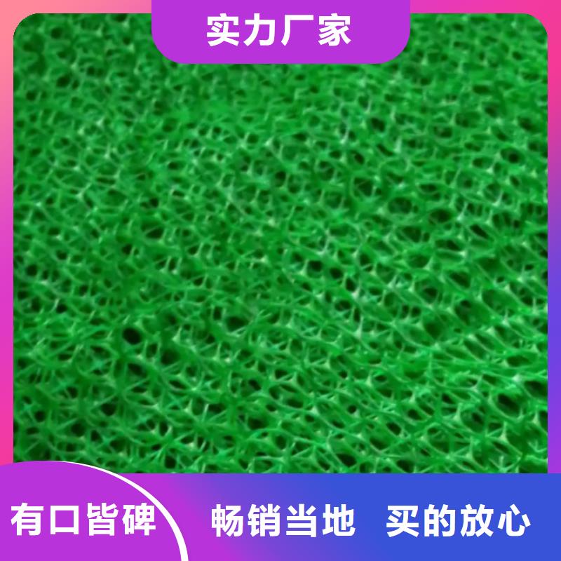 三维植被网,车库虹吸排水系统性价比高