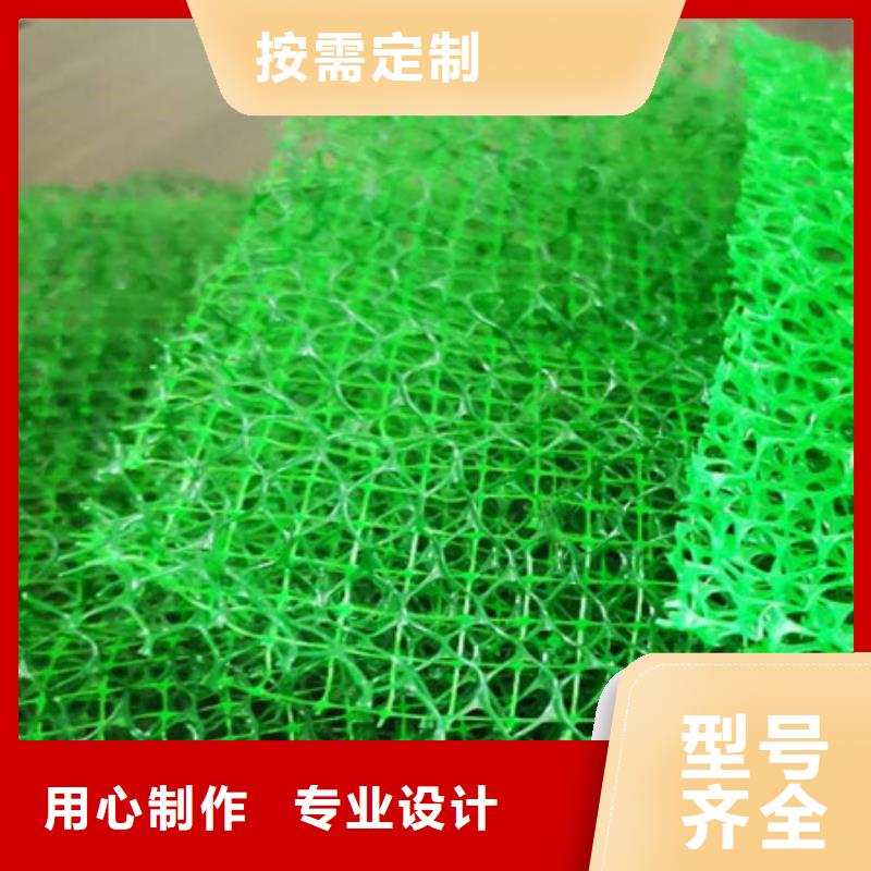 三维植被网水泥化粪池今日新品