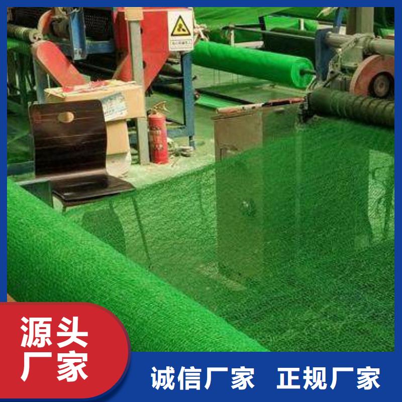 三维植被网,防护虹吸排水收集系统好产品好服务