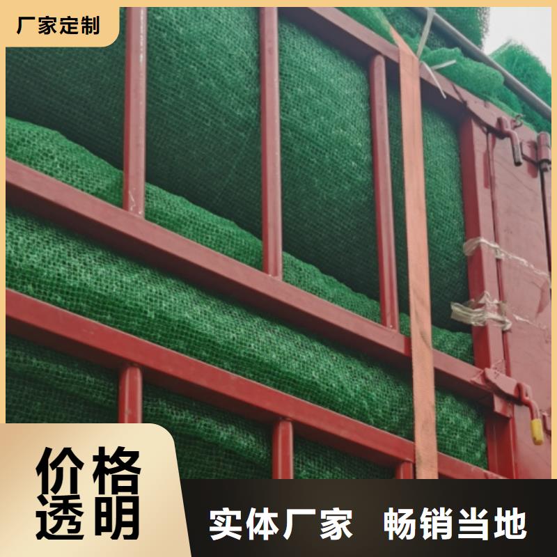 三维植被网植草格匠心制造