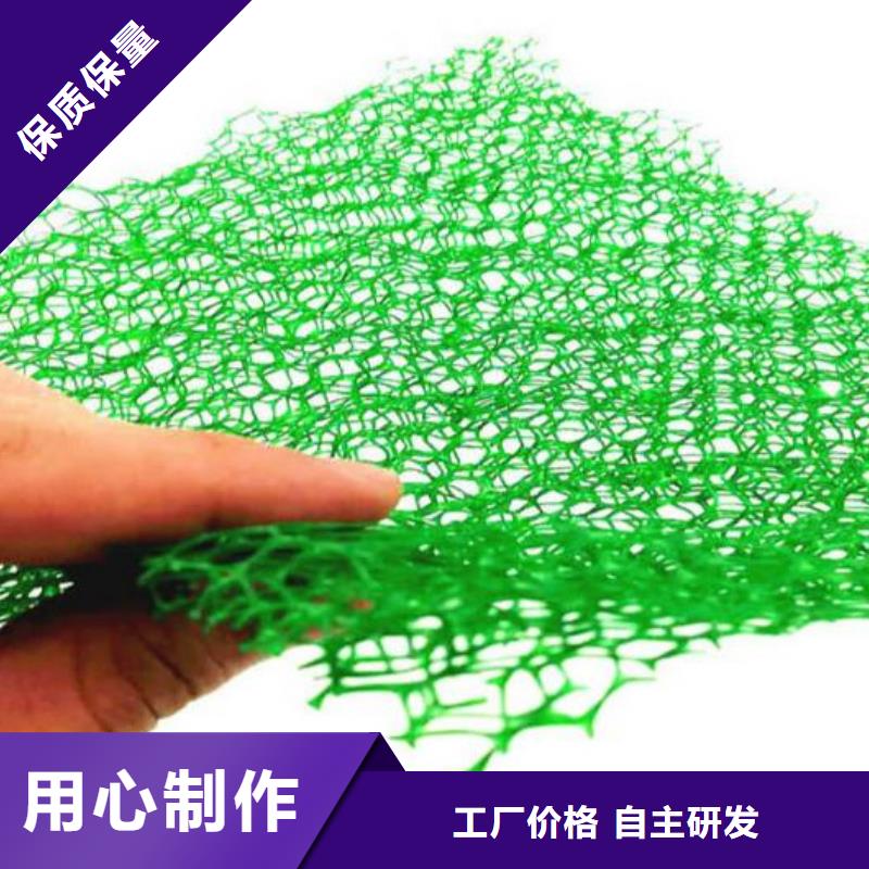 三维植被网,车库虹吸排水系统性价比高