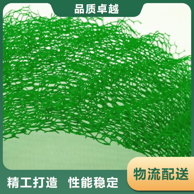 三维植被网_防护虹吸排水收集系统可定制