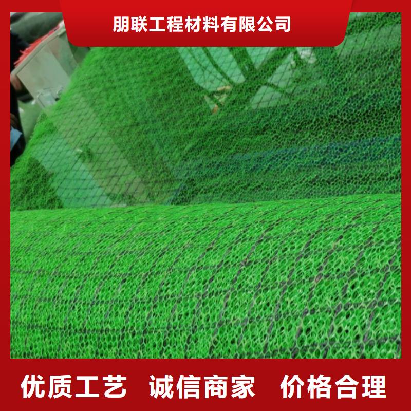 三维植被网植草格用心做好每一件产品